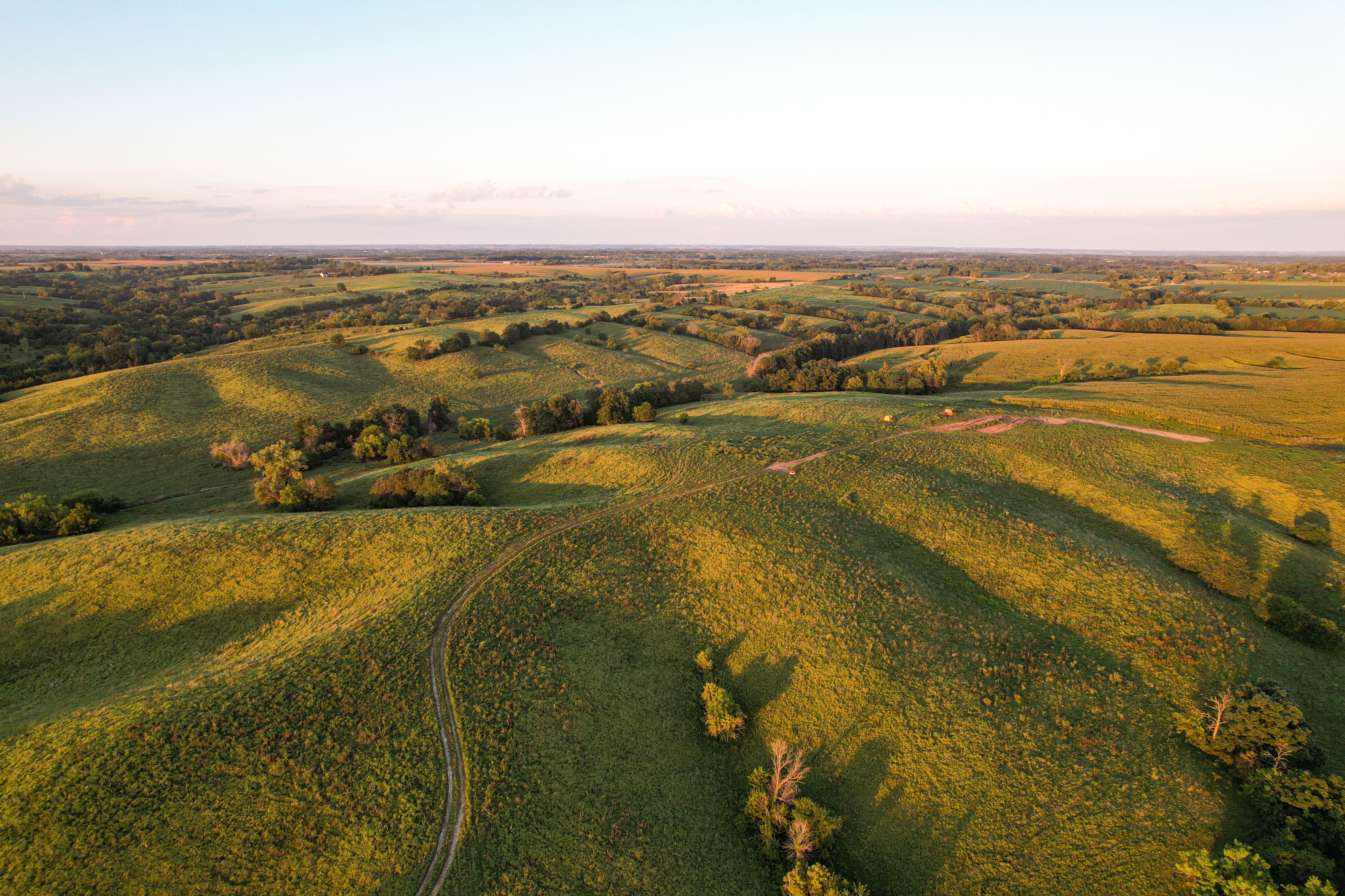 Listing Photo: Photo Aug 20 2025, 7 41 38 PM